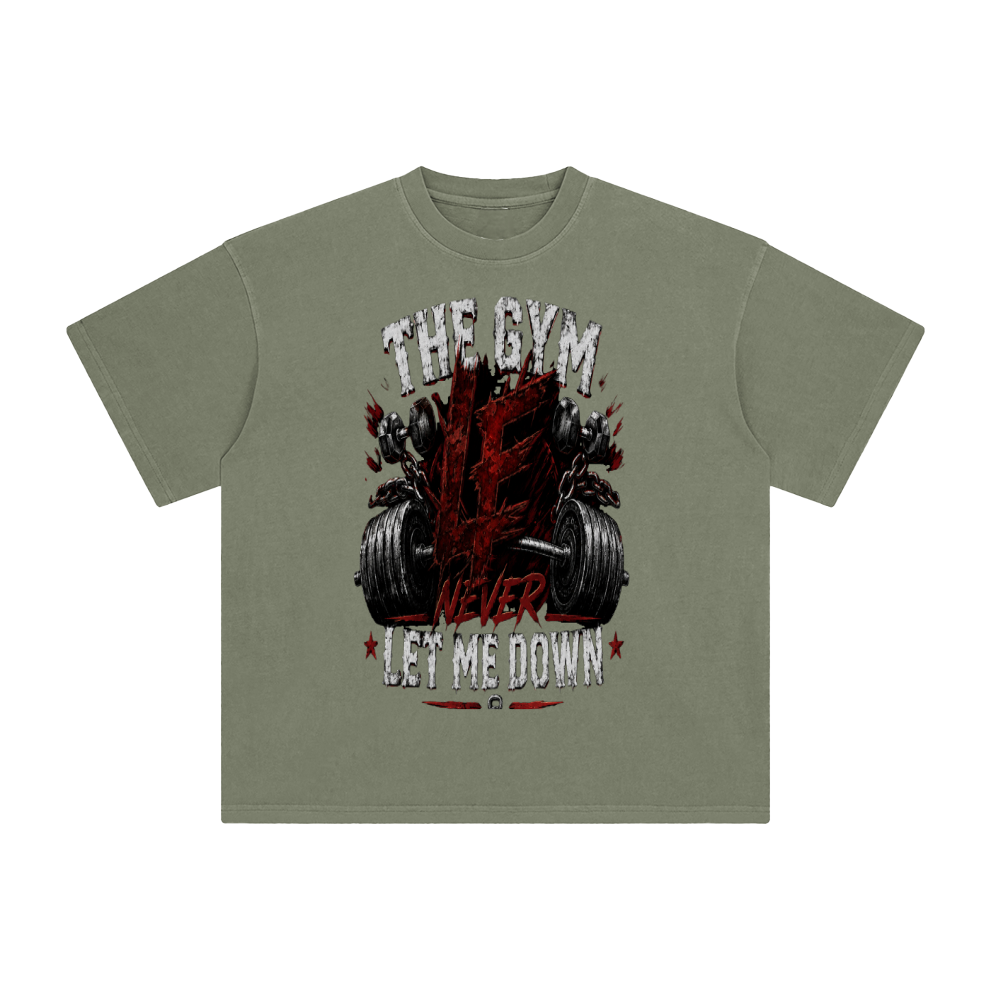 Gym Never Let Me Down Enzyme Washed T-Shirt