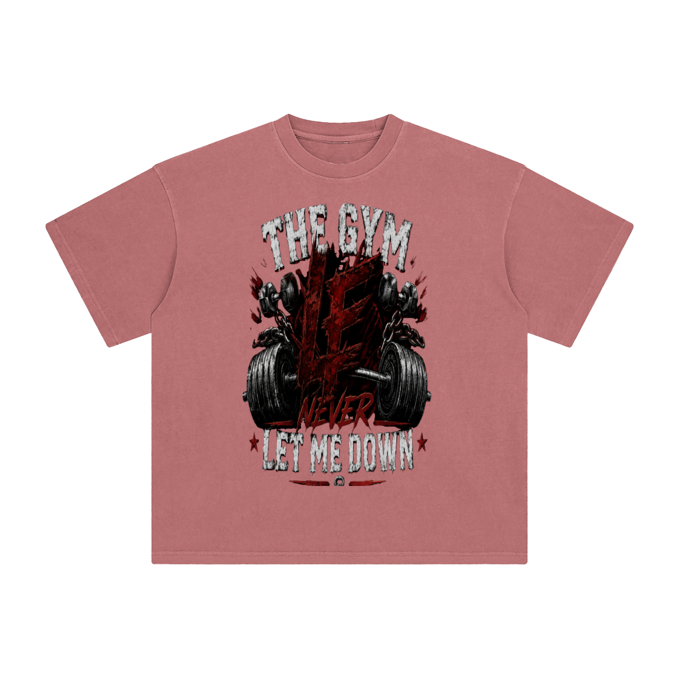 Gym Never Let Me Down Enzyme Washed T-Shirt