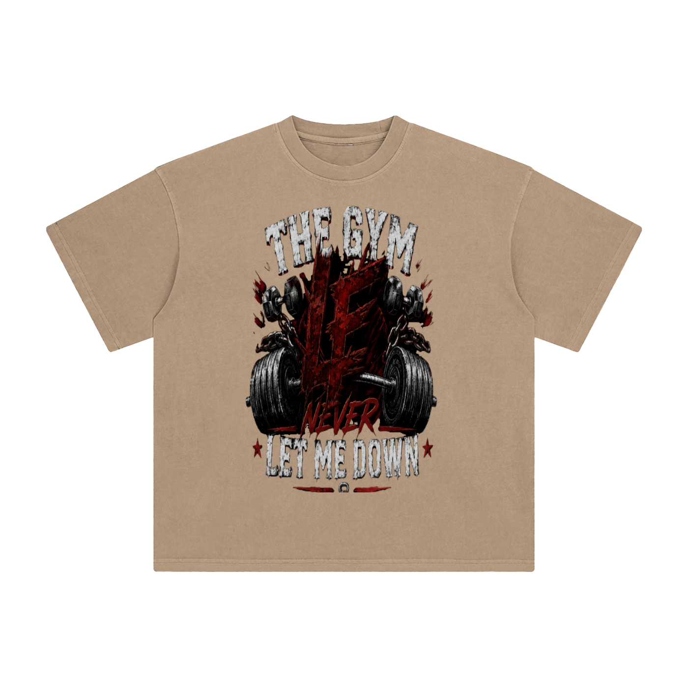 Gym Never Let Me Down Enzyme Washed T-Shirt