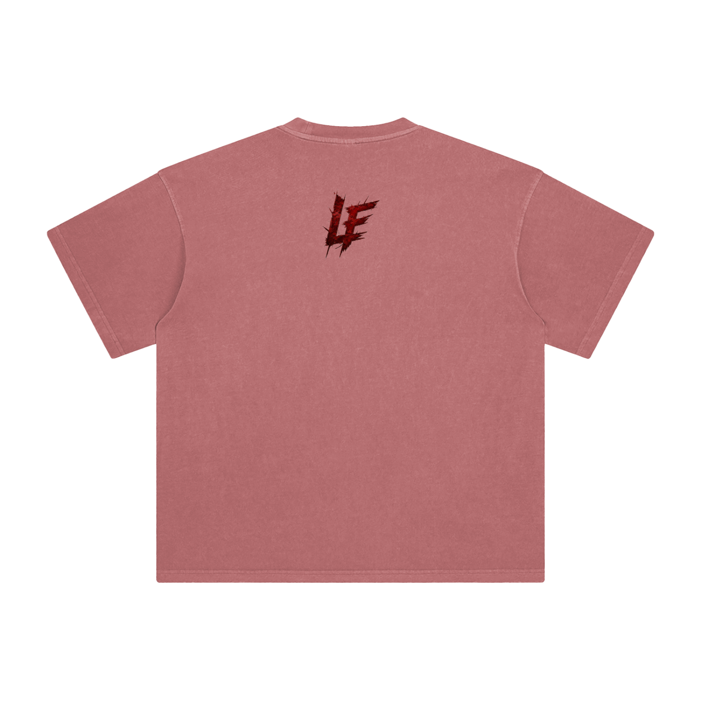 Gym Never Let Me Down Enzyme Washed T-Shirt