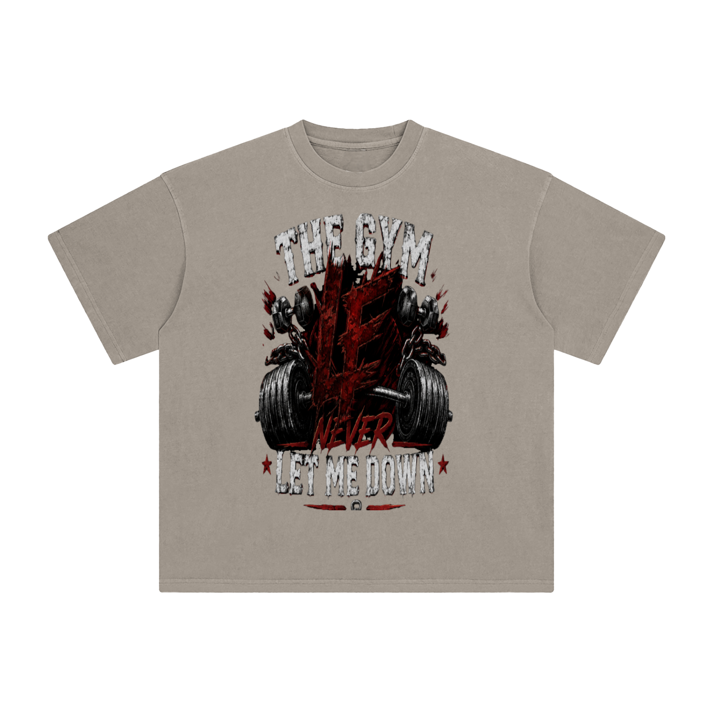 Gym Never Let Me Down Enzyme Washed T-Shirt