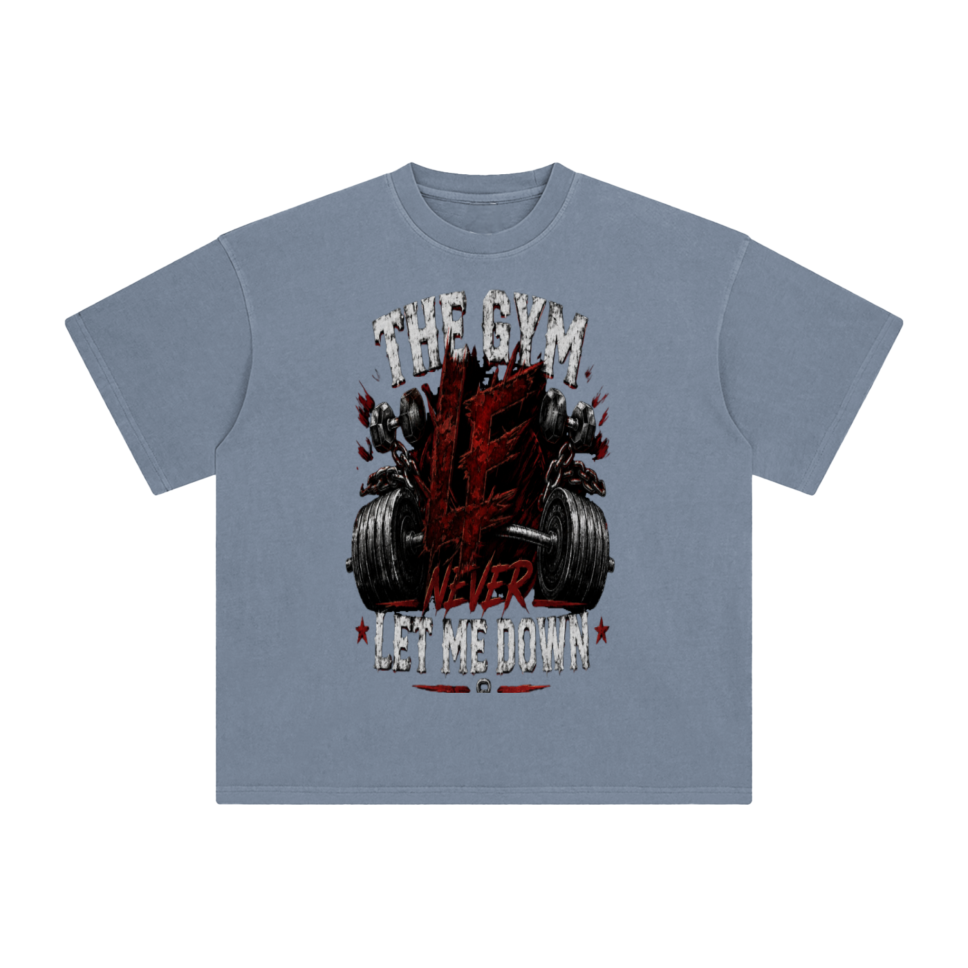 Gym Never Let Me Down Enzyme Washed T-Shirt
